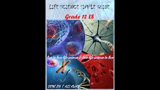 Immunology part 13 Document 2 Specific Immune response Humoral immunity experiment [upl. by Lukasz384]