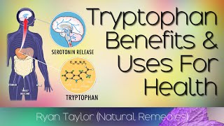 Tryptophan Benefits and Uses [upl. by Ynottirb]