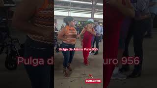 Baile en la pulga de Alamo Texas USA trending video fypシ゚viral musica texas baile seguidores [upl. by Joshua]