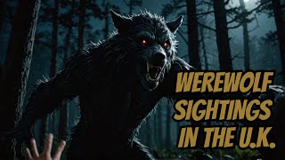 Livestream 287  Werewolf Eyewitness Encounter [upl. by Millicent266]