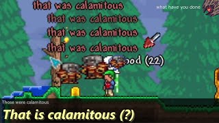 That Terraria Pack is calamitous [upl. by Niall]