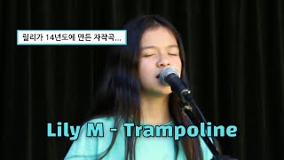 💌 릴리가 14년도에 만든 자작곡  Lily M  Trampoline 가사lyrics [upl. by Marsiella]