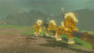 Breath of the Wild Gold Lynel Brothers [upl. by Lombard]