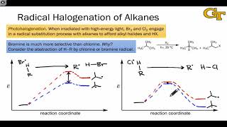 2606 Examples of Radical Reactions [upl. by Meehahs]