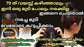 Natural Hair Dye എത്ര നരച്ച മുടിയും താടിയും കട്ടകറുപ്പാവാൻ ഇനി ഒരു സ്പൂൺ കാപ്പിപ്പൊടി മതി haircare [upl. by Onateyac]