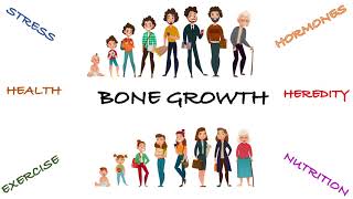 BONE GROWTH  LONGER amp THICKER BONES  INTERSTITIAL amp APPOSITIONAL GROWTH  FACTORS AFFECTING GROWTH [upl. by Zela]