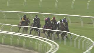 Heat 7 Doomben Jumpouts 1009 [upl. by Verity]