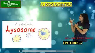 Lysosomes Lecture27 Cell Biology Protein hydrolases [upl. by Lonergan446]