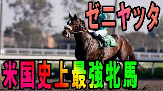 【最強牝馬】19連勝＆GⅠ13勝の米国最強牝馬 ゼニヤッタ【競馬】 [upl. by Solnit]