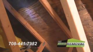 MMR mold stain remover for attic mold remediation [upl. by Aikkin]