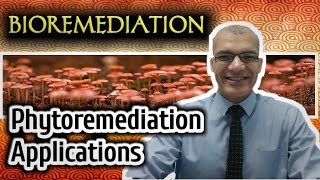 Phytoremediation Applications [upl. by Vadnee657]