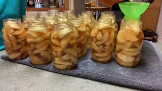 Canning apples  The easy way for filling your pantry [upl. by Leacim]