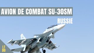 Avion Russe de combat Sukhoi Su 30SM [upl. by Bradlee878]