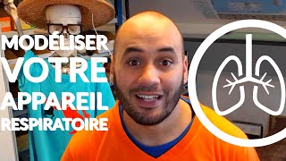 COMMENT MODÉLISER LAPPAREIL RESPIRATOIRE [upl. by Louls]