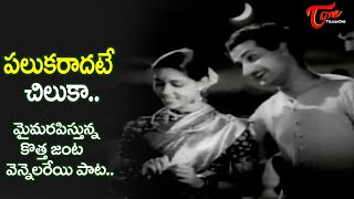 Palukaradate Chiluka Song  Shavukaru telugu Movie  full Moonlight melody Song  Old Telugu Songs [upl. by Anerol]