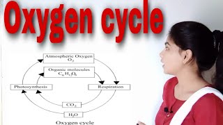 Biogeochemical cycle oxygen cycle detail explanation with diagram BSc III paper III unit II [upl. by Soph]