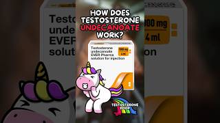 How does Testosterone Undecanoate Work [upl. by Salesin]