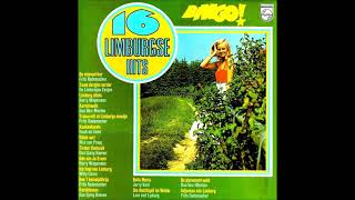 16 Limburgse Hits Blingo  Lp [upl. by Ennylcaj]