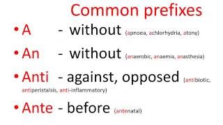 Medical terms  common prefixes [upl. by Bowra]