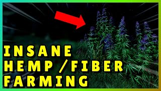 EASY HEMP FIBER FARM  New World [upl. by Yelnikcm796]