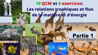 🔥🔥 Consommation De La Matière Organique Et Flux dénergie 🔻 Partie 1 🔻 2 Bac BIOF SVT 🔻1èr chapitre🔻 [upl. by Meenen]