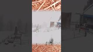 Heavy snowfall in Obereggen Italy italy shorts [upl. by Sharp745]