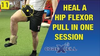 Fix a Hip Flexor Pull in One Session  The Miracle Exercise  Ep11 [upl. by Jaine528]