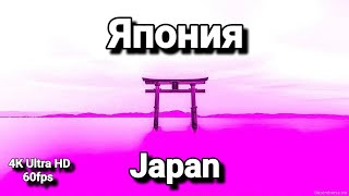 Япония 🇯🇵 Japan 4K  Релаксационный фильм с успокаиванием🏝️ Relaxation Film With Calming [upl. by Izaak871]