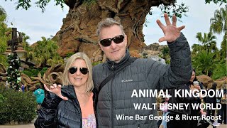 Walt Disney World Vlog  Animal Kingdom  Wine Bar George  River Roost amp Yeeha Bob  Jan 2024 [upl. by Cazzie]