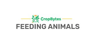 Learn how to feed animals on CropBytes 👩‍🏫 [upl. by Wilkinson]