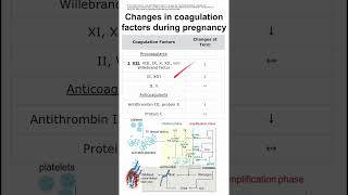 Changes in coagulation factors during pregnancy [upl. by Leeke]