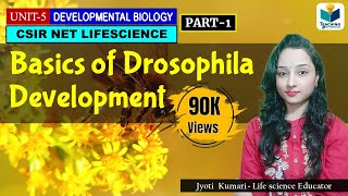 DEVELOPMENTAL BIOLOGY OF DROSOPHILA PART1  CSIR NET LIFESCIENCE  IMPORTANT [upl. by Particia]