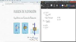 17  Fluidos  Fuerza de flotación [upl. by Birecree]