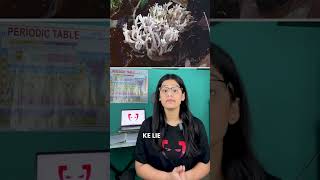 Revision BIO  Basidiomycetes Fungi [upl. by Topper]