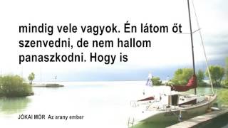 242 A VÉDÖRDÖG Jókai Mór Az arany ember Hungarian language audiobook [upl. by Olonam]