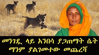 መንገዷ ላይ አንበሳ ያጋጠማት ሴት ማንም ያልገመተው መጨረሻ [upl. by Alehcim]