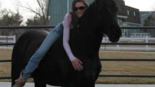 RIP 1998 Black Quarter Horse Gelding [upl. by Naples229]