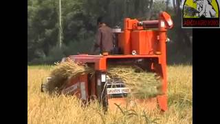 halfcombine harvester with tank harvesting paddy [upl. by Glinys]