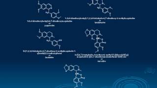 Chemistry of Alkaloids [upl. by Garrek]