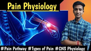 Pain Physiology Types of Pain Pain Pathway CNS Physiology LecturesMBBS hindi Ashish [upl. by Letnuahc]