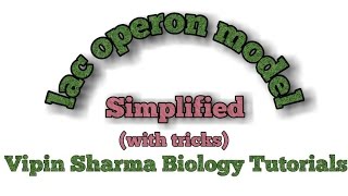 Regulation of gene expression lac operon concept  simplified for NEET and AIIMS [upl. by Eppes]