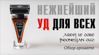 НАТУРАЛЬНЫЙ УД КОТОРЫЙ ВЫ ПОЛЮБИТЕ AREEJ LE DORE INDONESIAN OUD [upl. by Haile]