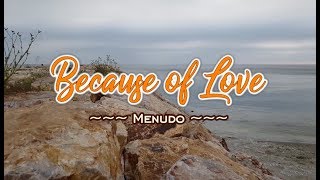 Because of Love  Menudo KARAOKE VERSION [upl. by Whitelaw330]