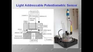 Sensori e Biosensori  ElbaTech Quartz Crystal Microbalance QCM [upl. by Etz]