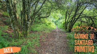 Day 8 Camino Primitivo 2023 A Fonsagrada to Baleira  O Cadavo [upl. by Freeland]