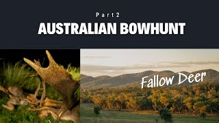 Free Range Fallow Deer Bowhunting  Australia Part 2  Wild Safaris [upl. by Atidnan]