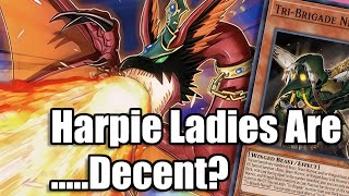 Harpie Lady Deck Profile  July 2024 [upl. by Ardni]