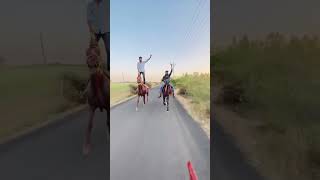 ha ghodi jivv Hale hooviral horse riding rider shorts sorts trending vlog [upl. by Cohlier]