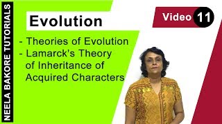 Evolution  NEET  Theories of Evolution  Lamarcks Theory of Inheritance of Acquired Characters [upl. by Sib255]