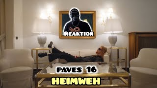 Paves 16 Heimweh Reaktion Das Dschungelbuch [upl. by Ahsiem]